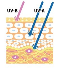 �N���������V���ɂ���