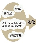 �N���������V���ɂ���